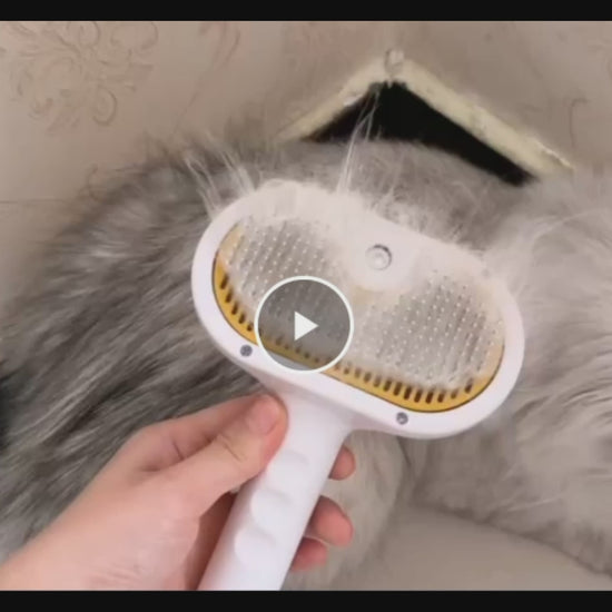 Pet Grooming Benefits — Steam Brush Removes Dead Hair and Improves Coat Health for Cats and dog